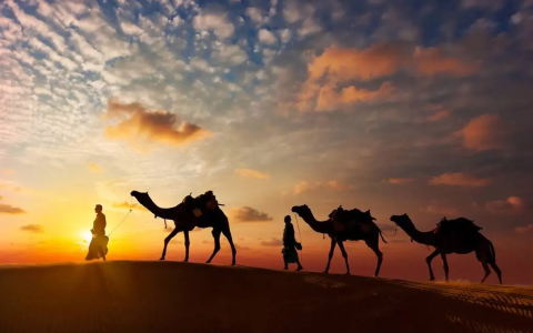 骆驼象征什么精神
