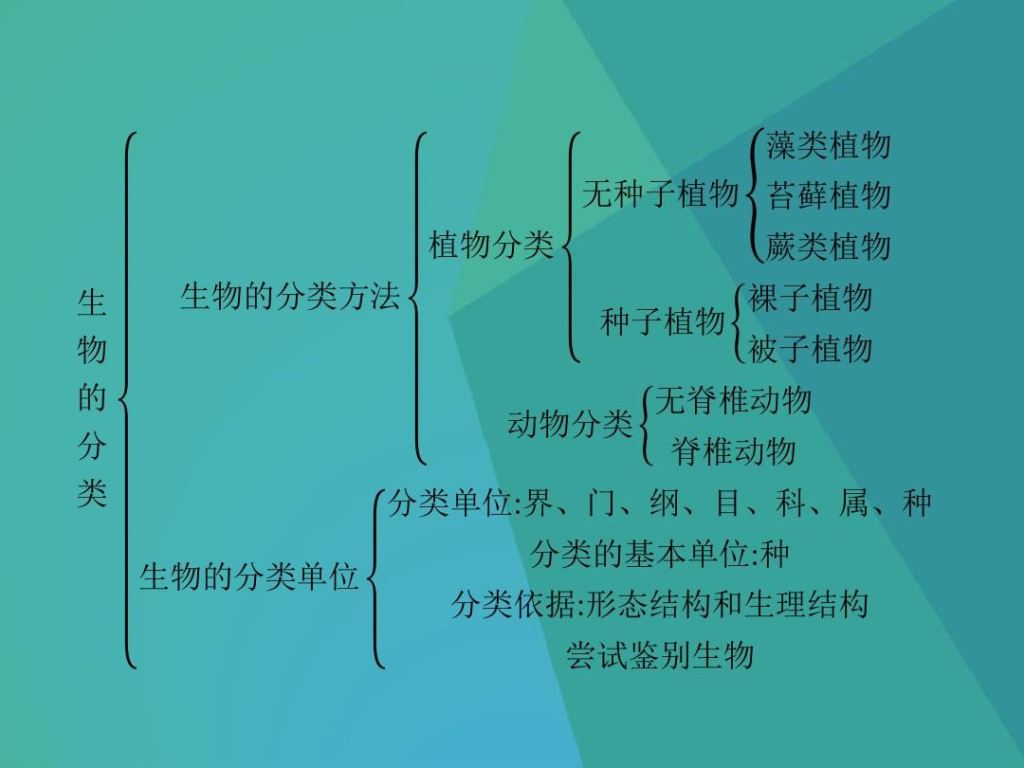 生物的分类有哪些？附生物分类的依据和意义