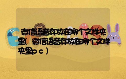 微信语音存放在哪个文件夹里(微信语音存放在哪个文件夹里pc)