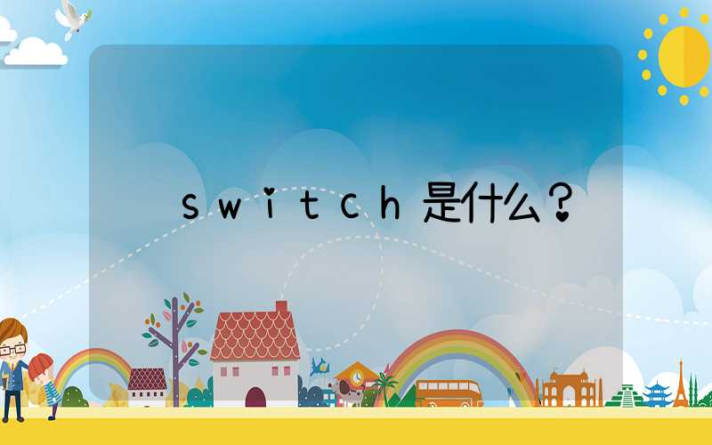 switch是什么？