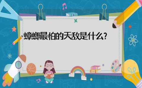 蟑螂最怕的天敌是什么？