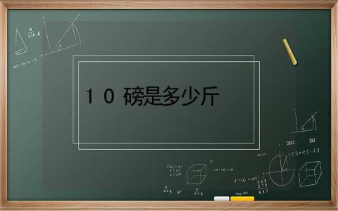 10磅是多少斤