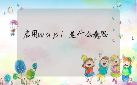 启用wapi是什么意思