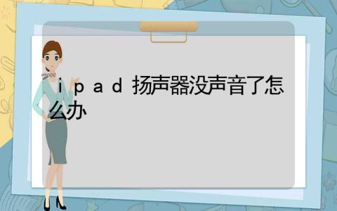 ipad扬声器没声音了怎么办