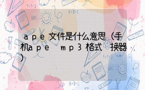 ape文件是什么意思（手机ape转mp3格式转换器）