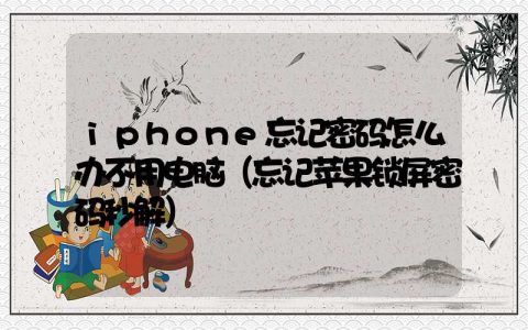 iphone忘记密码怎么办不用电脑（忘记苹果锁屏密码秒解）